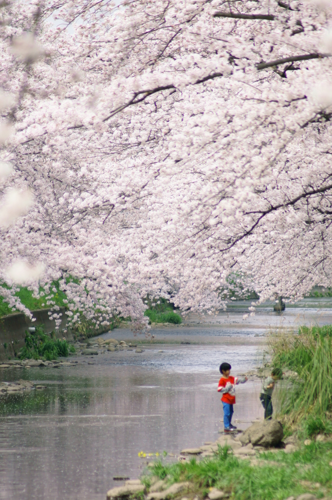 春色の下で
