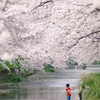 春色の下で
