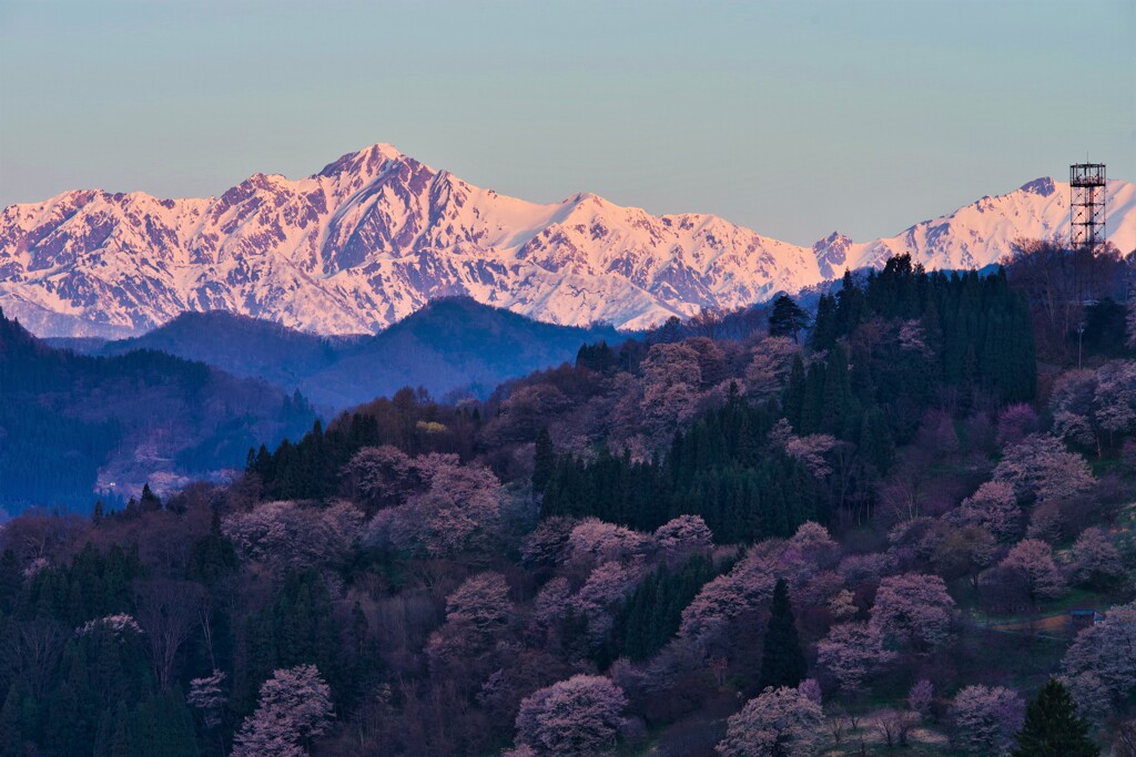 寒い朝に