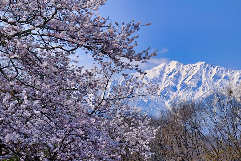 晴天に誘われて