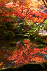 庭園の秋