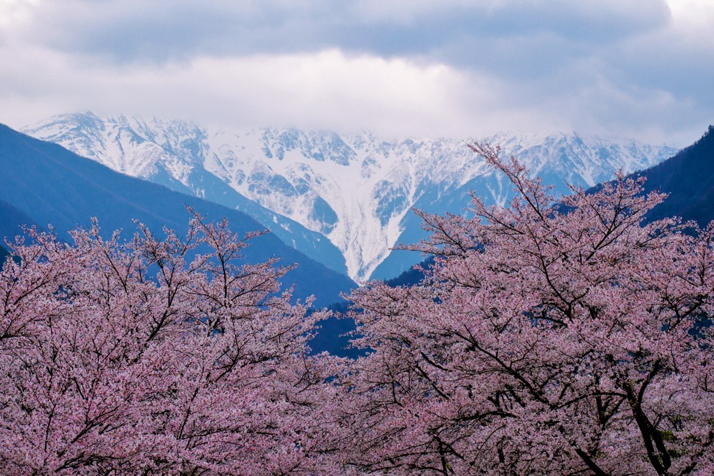 曇天