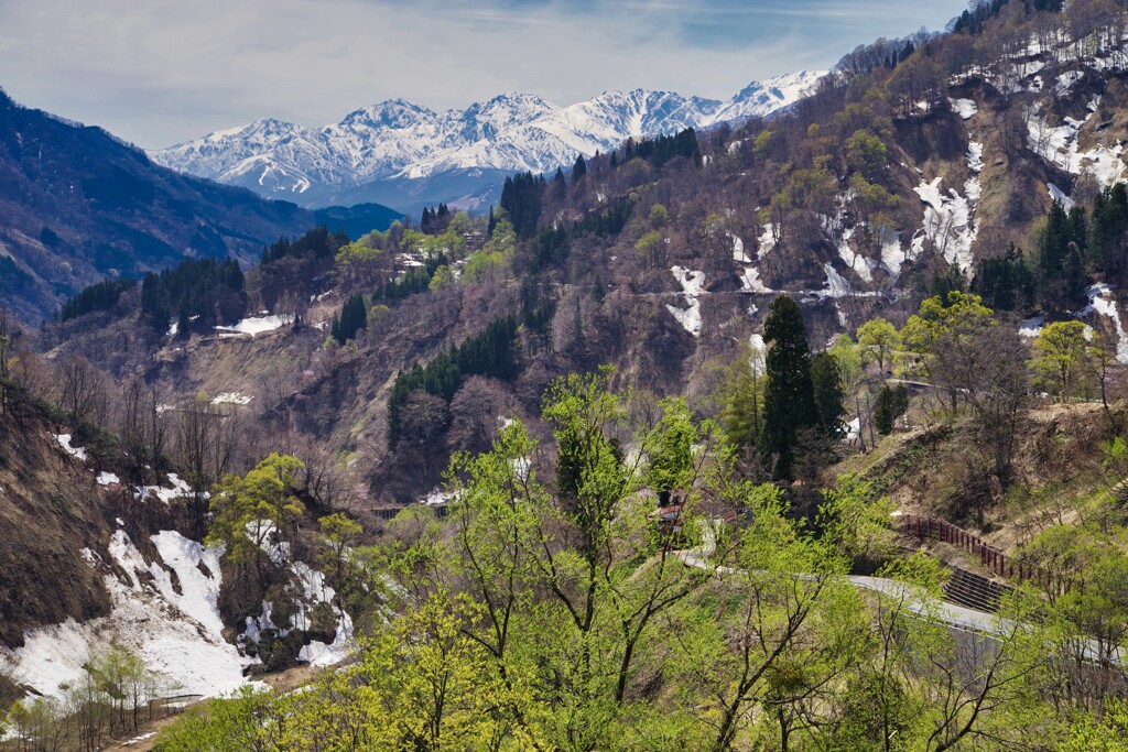 里山の春