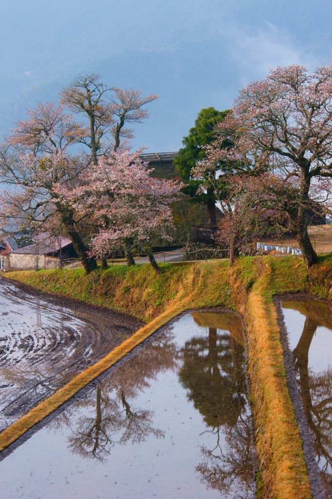 日本っていいなぁ