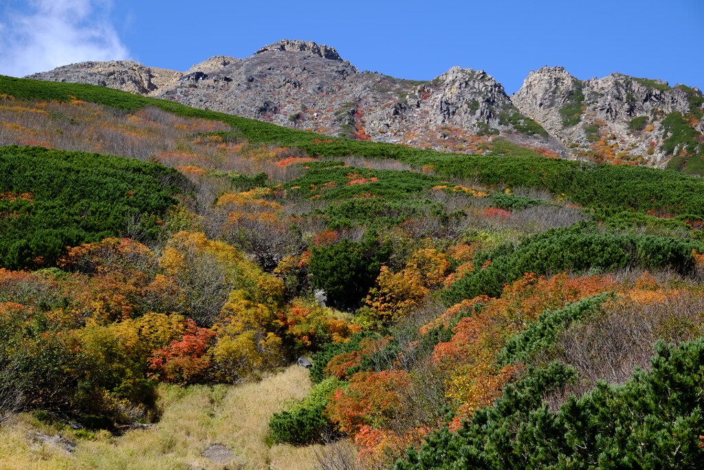 御嶽山　紅葉3