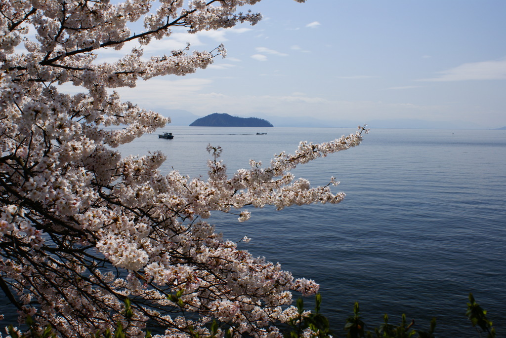 竹生島を望む