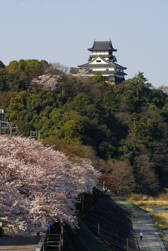 国宝　犬山城