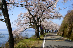 湖岸の道