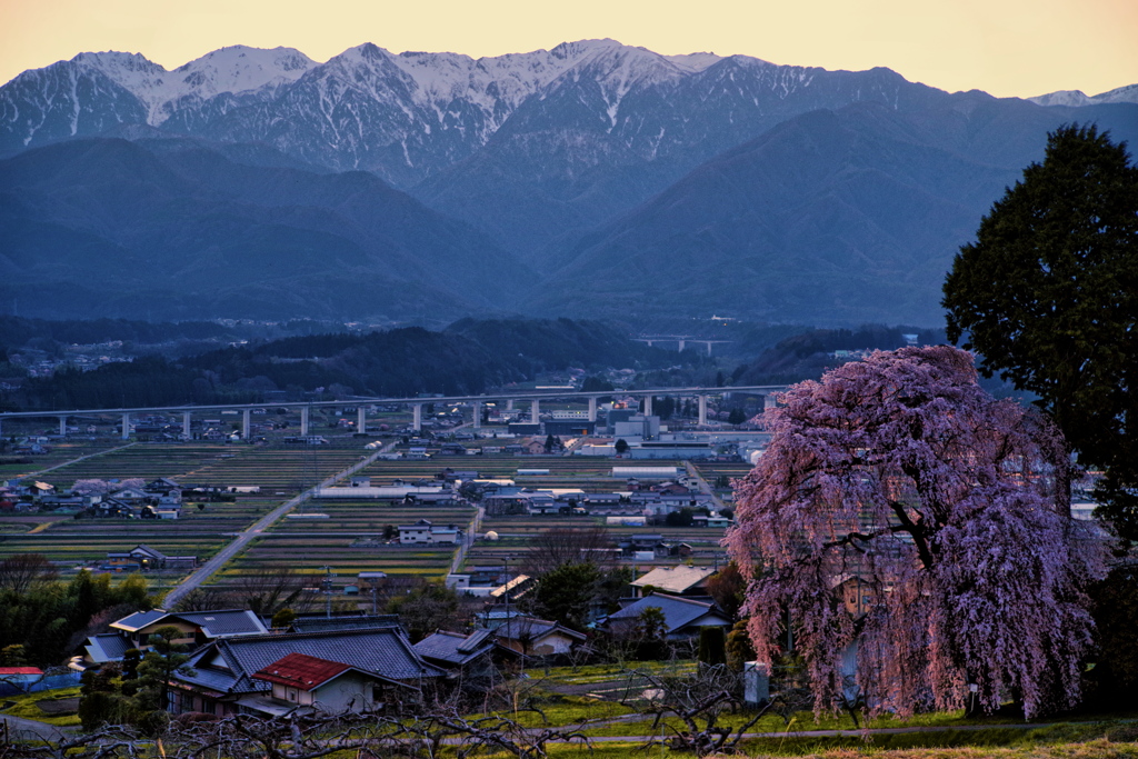夕春明媚