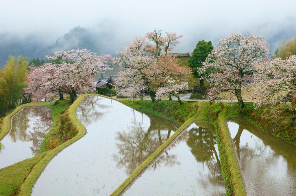 雨模様