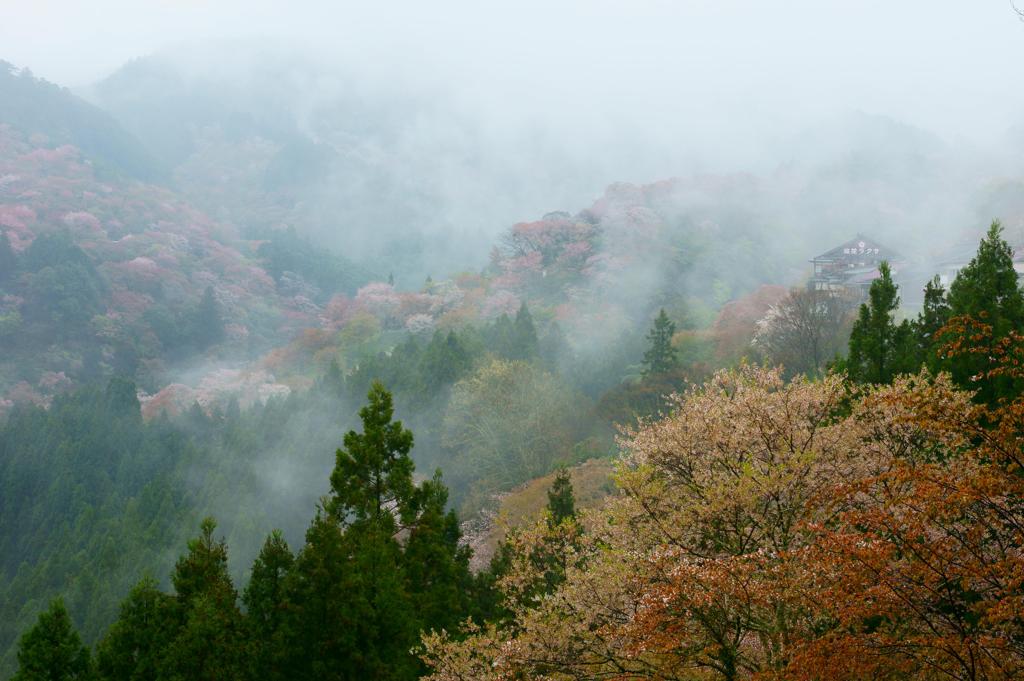 雨のヴェールに包まれて