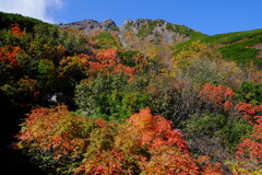 御嶽山　紅葉2