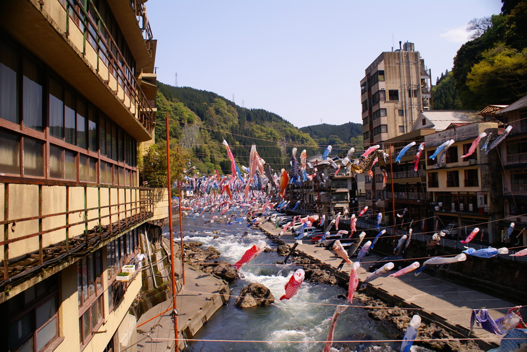 杖立温泉　鯉のぼり祭り