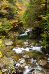 清らかな流れ