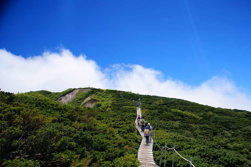 夏山を登って