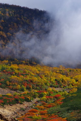 乗鞍岳 紅葉1