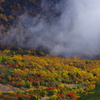 乗鞍岳 紅葉1