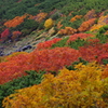 乗鞍岳 紅葉4