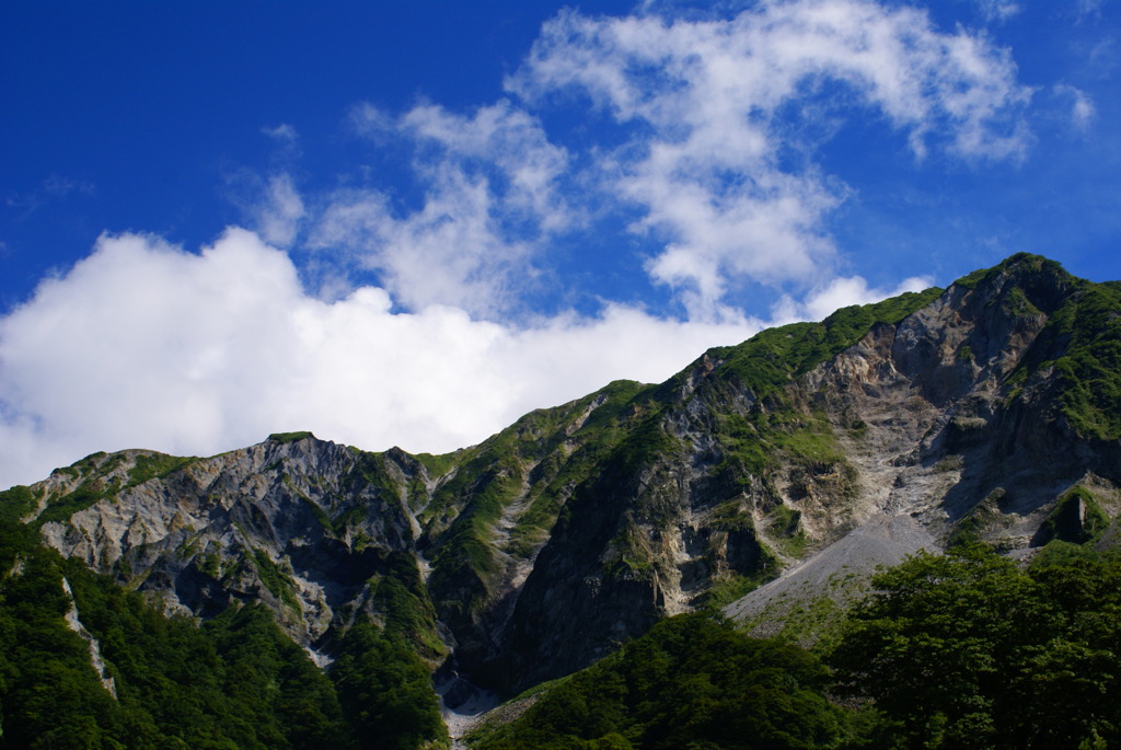 夏山