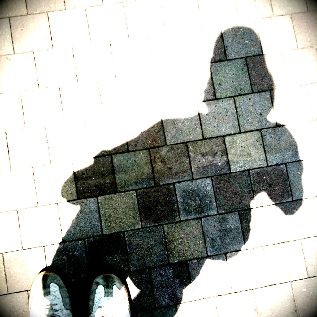 Shadow.