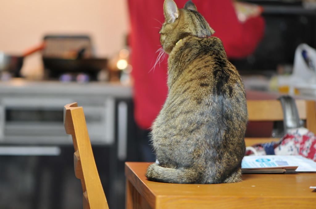 夕飯まだかな・・・