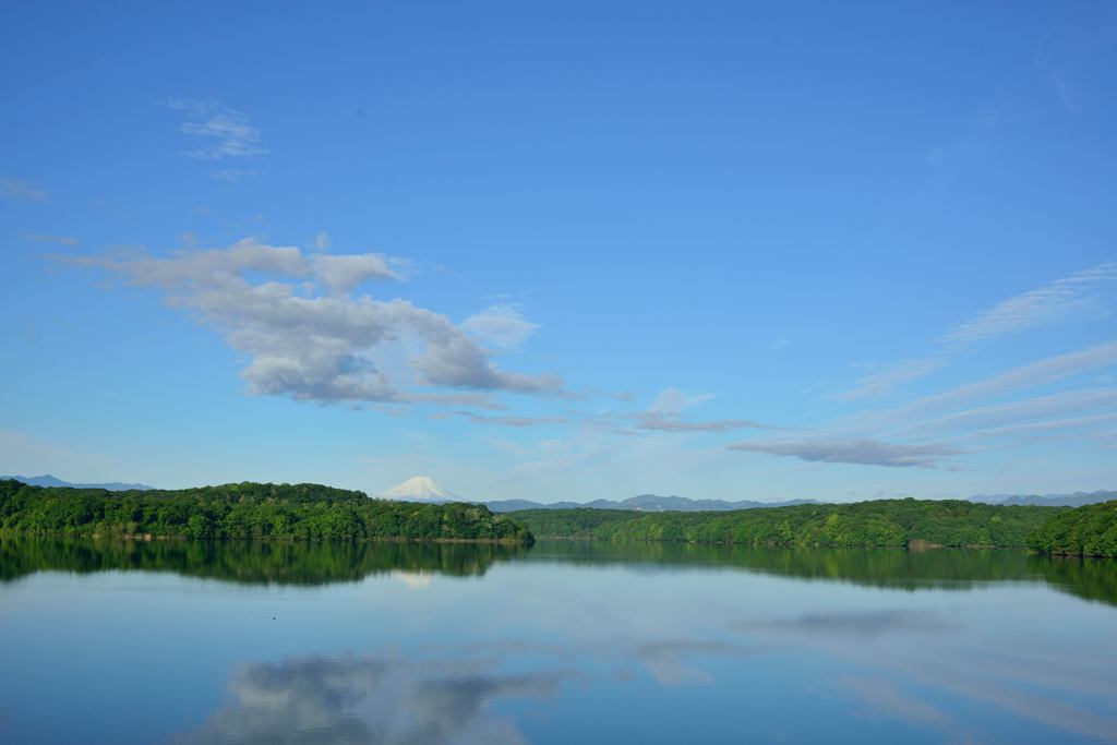 いつもの狭山湖