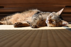 春の陽差しを浴びて