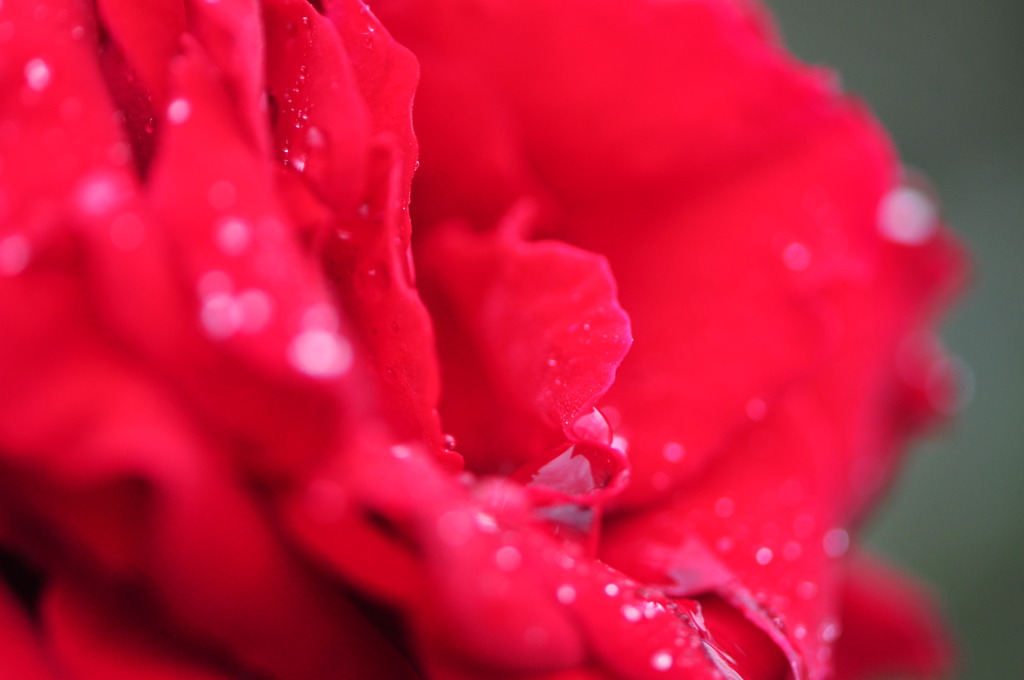 雨上がりの朝２