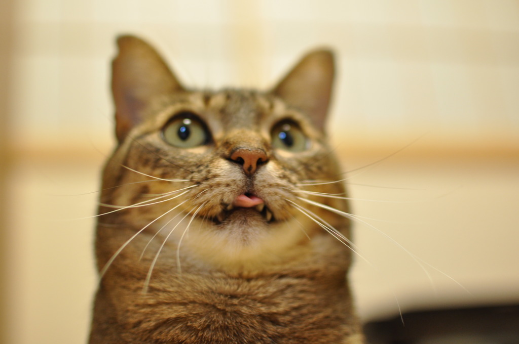 お～い！舌が・・・