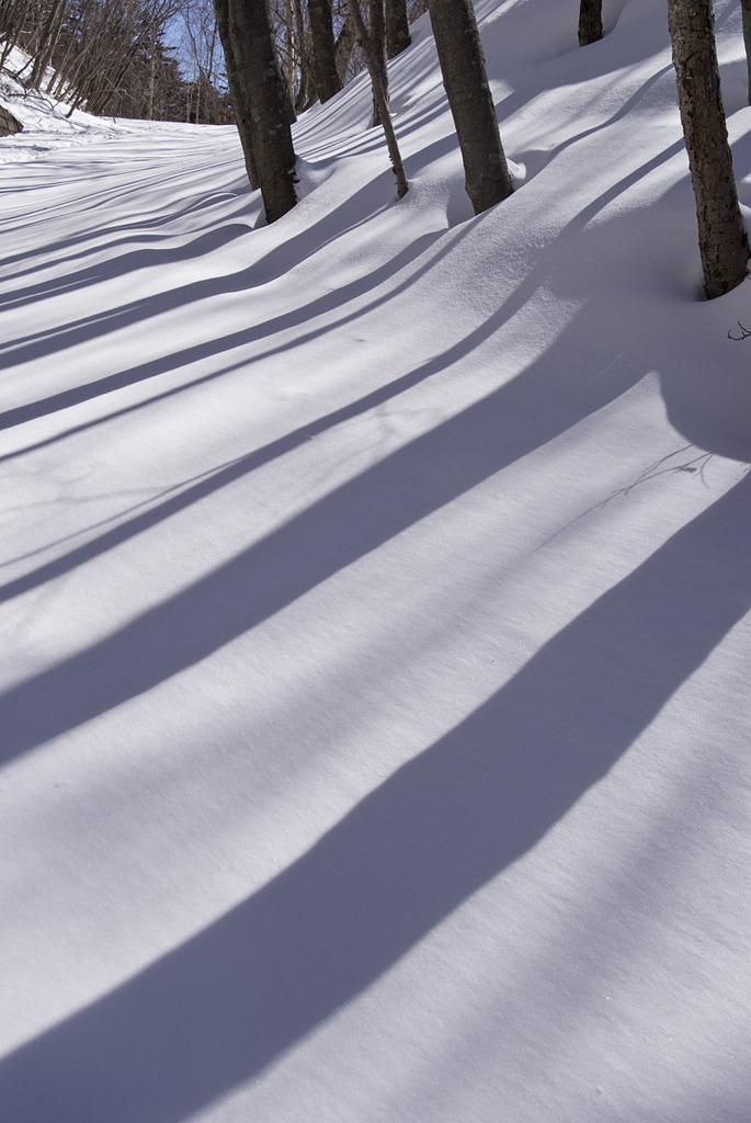 新雪