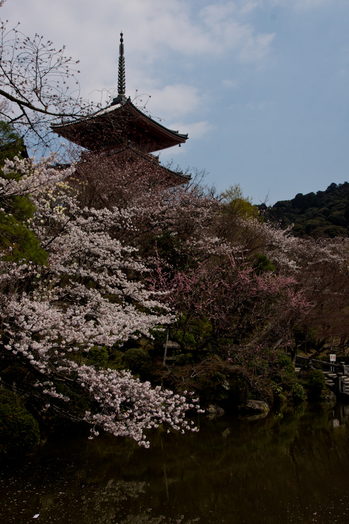 清水の下