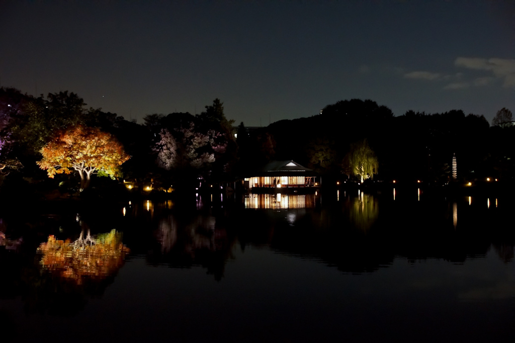 清澄庭園　夜全景