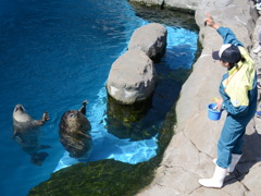 「お魚ほしい人～」「ハイハイ！」