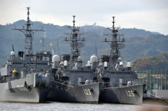 護衛艦隊