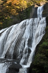 袋田の滝（下から）