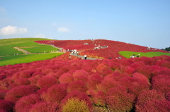 紅の丘（２０１１年１０月バージョン）