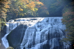 袋田の滝（上から）