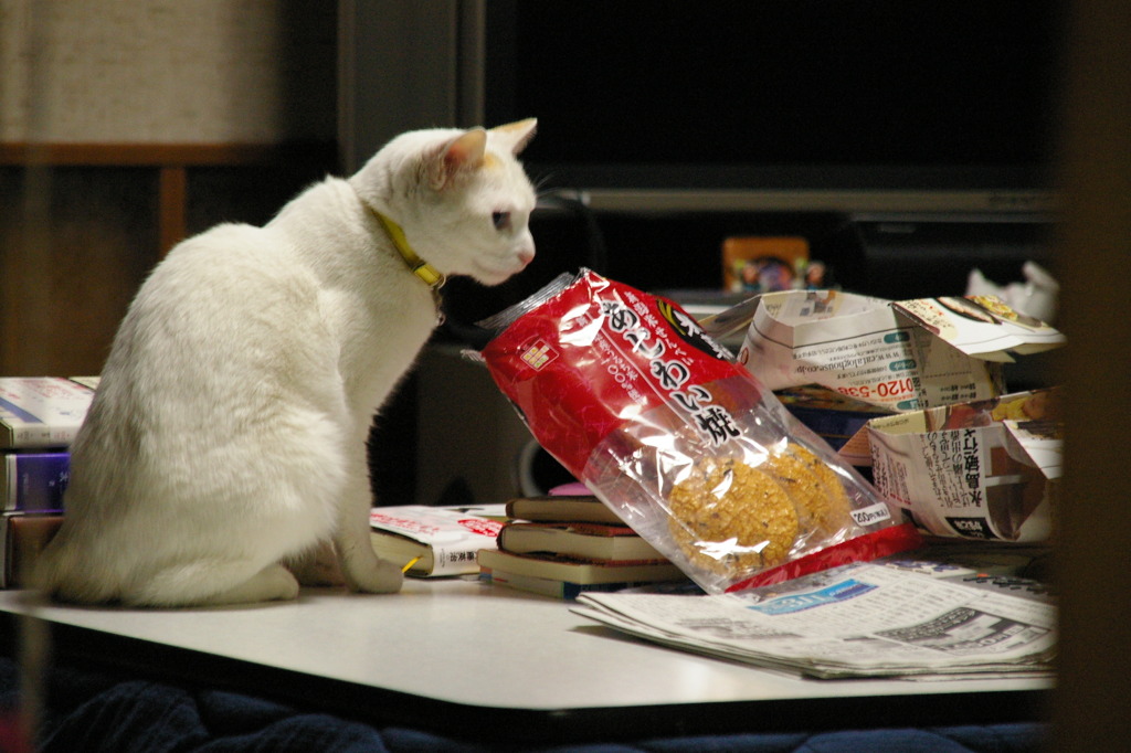 食べたい