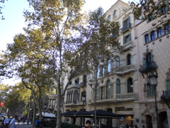 P1010664