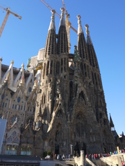P1010629