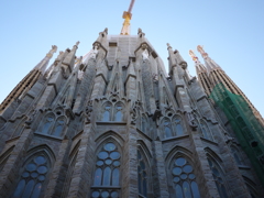 P1010560