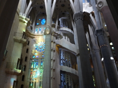 P1010593