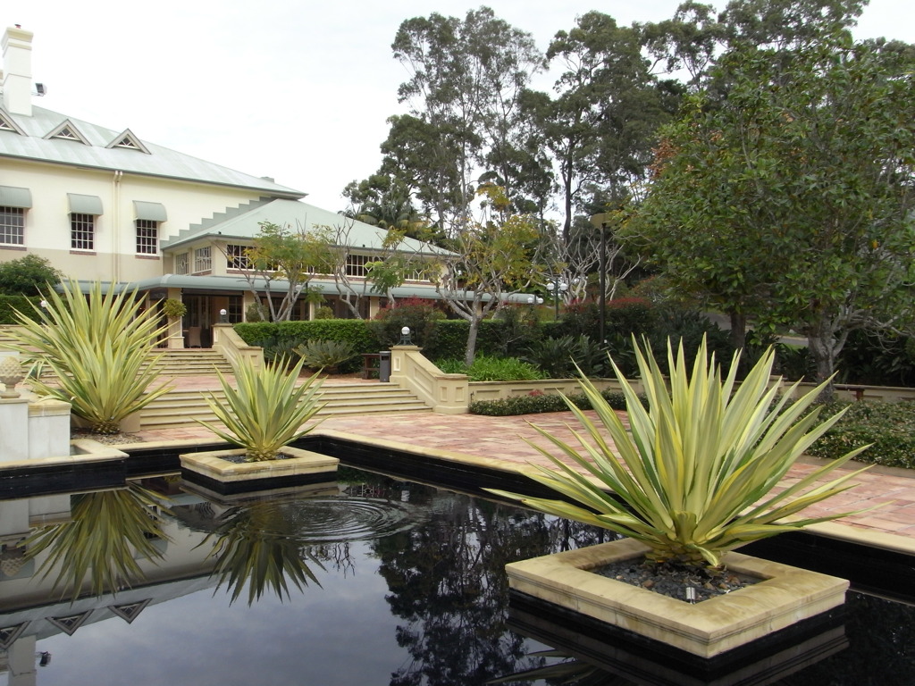 Pond