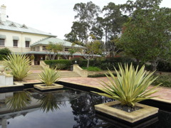 Pond