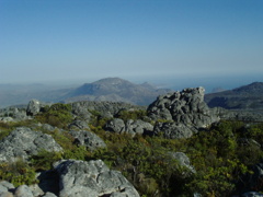 Table Mountain