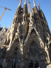 P1010555