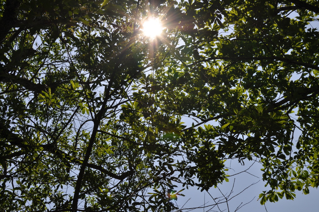 眩しい