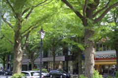山下公園前