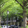 山下公園前