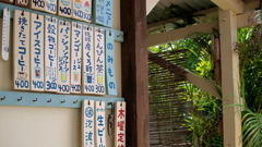 泡波